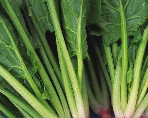 东莞试管婴儿去哪个医院好,人工授精要多少钱，东莞那家医院做的好，怎么办