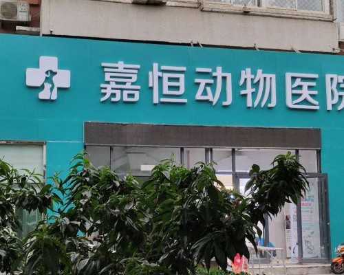 东莞试管用供卵条件,东莞市目前没有供卵试管医院