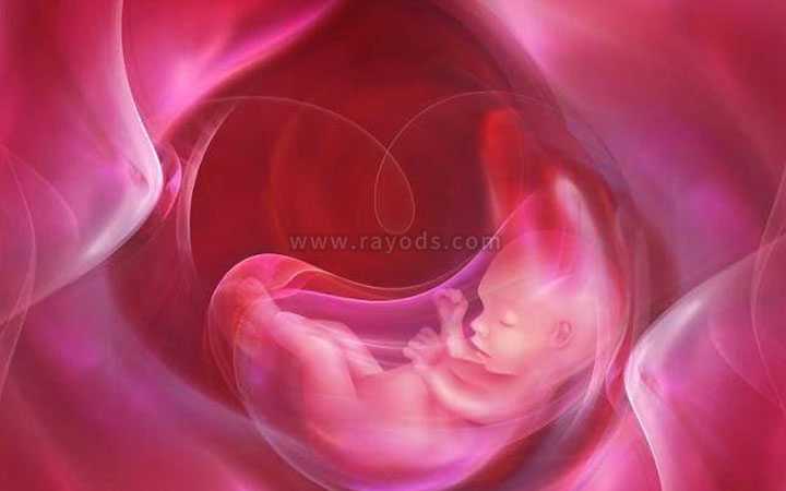辽源化验卵巢性激素_试管婴儿验孕成功后怎么保胎
